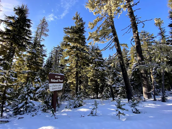 Peninsula (Olallie Lake) Campground 2