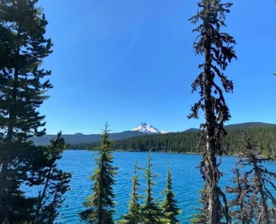 Horseshoe Lake Campground