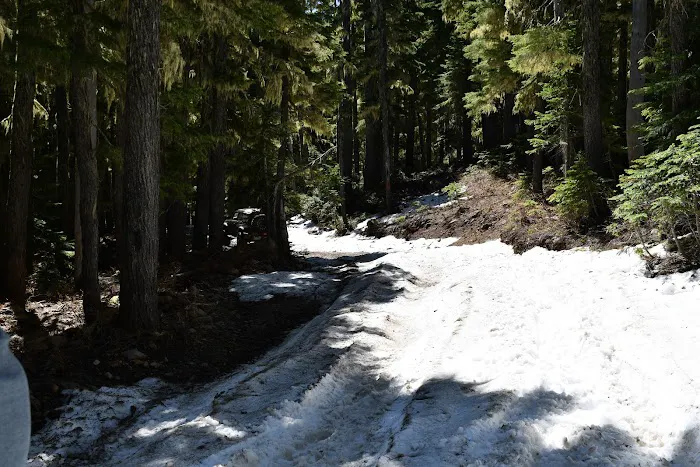 Horseshoe Lake Campground 3