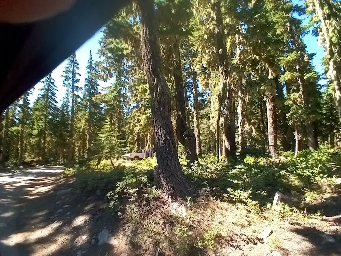 Horseshoe Lake Campground 8