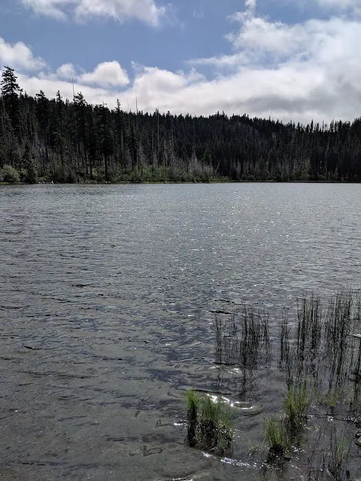 Trout Lake Campground 1