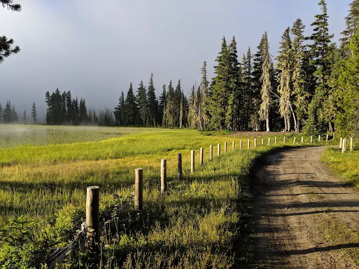 Breitenbush Lake Campground 0