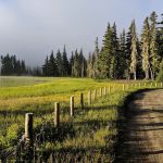 Breitenbush Lake Campground