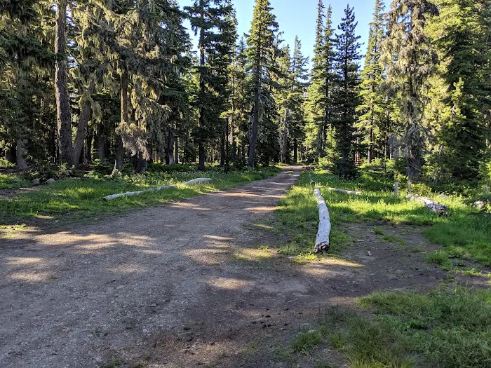 Breitenbush Lake Campground 2