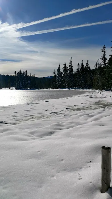 Breitenbush Lake Campground 7