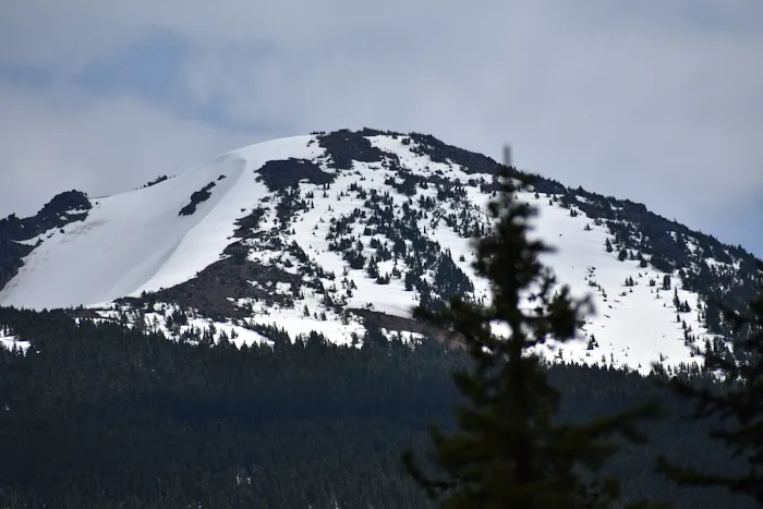Olallie Meadow Campground 3