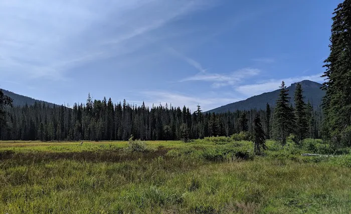 Olallie Meadow Campground 0