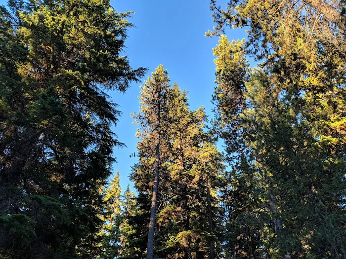 Chief Paulina Trailhead 3