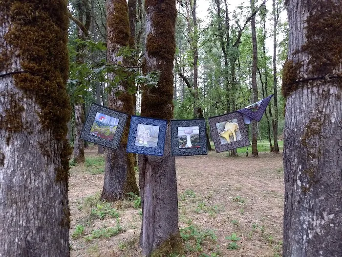 GnomeWood Campground 2