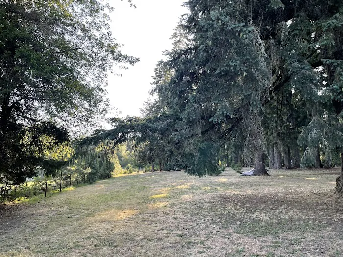 GnomeWood Campground 4