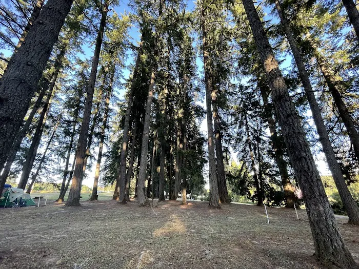 GnomeWood Campground 7