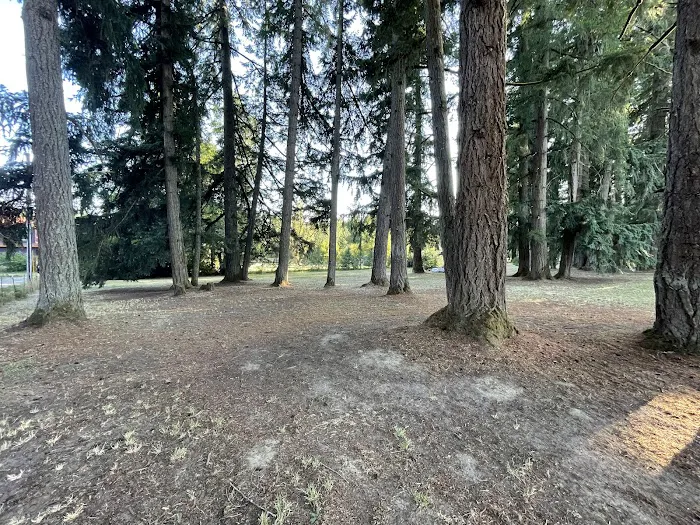 GnomeWood Campground 6