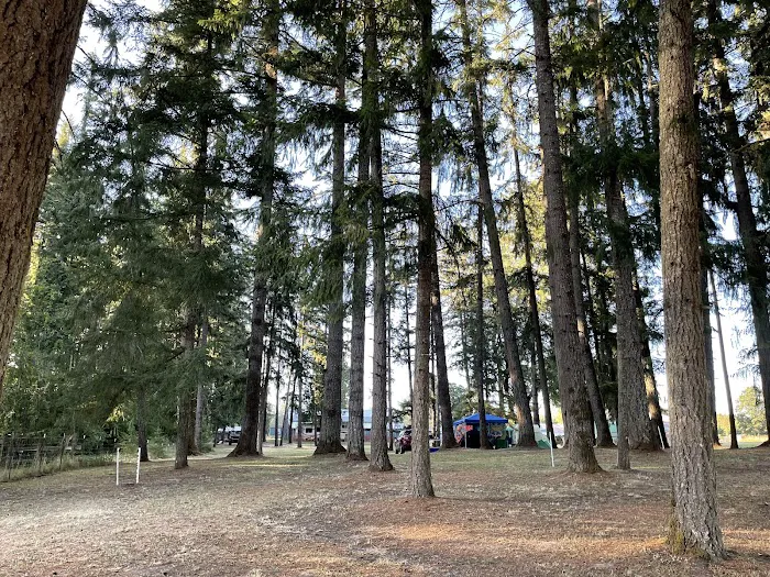 GnomeWood Campground 9