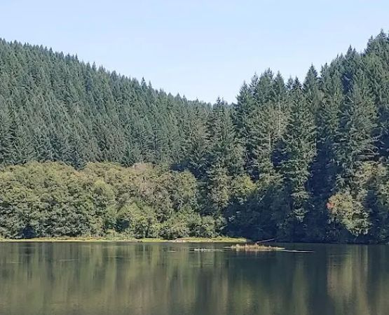 Upper Lake Creek