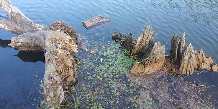 Upper Lake Creek 3