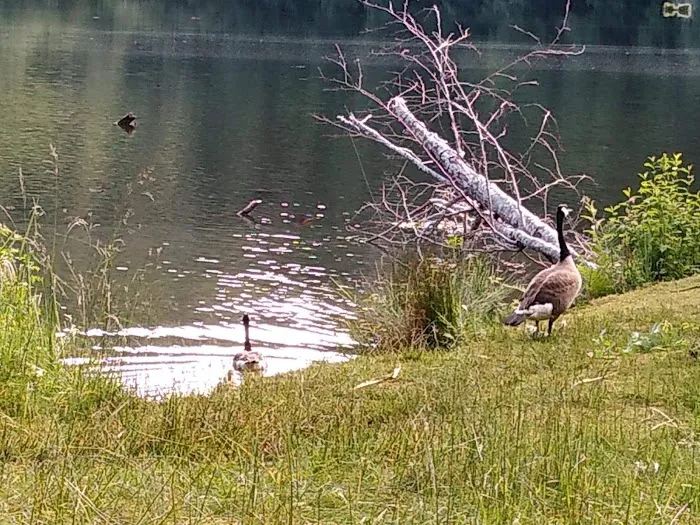 Upper Lake Creek 6