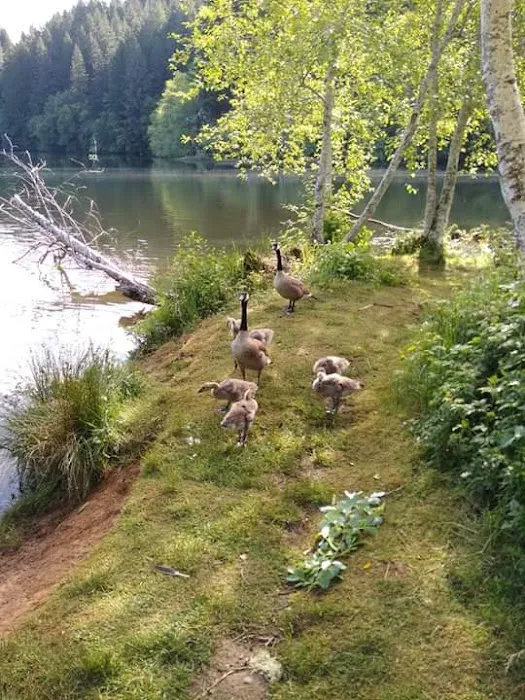 Upper Lake Creek 7