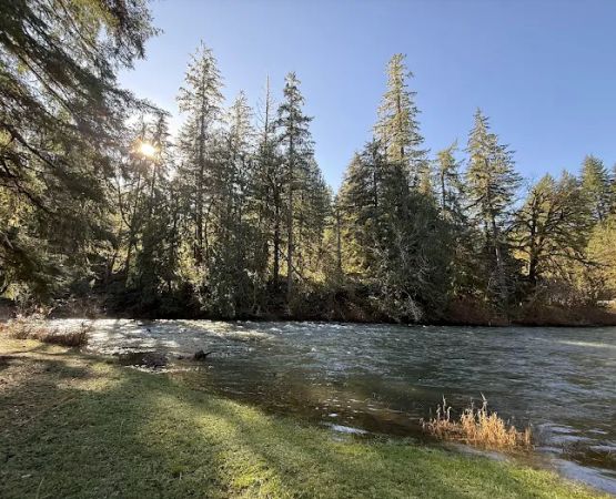 Triangle Lake Campground