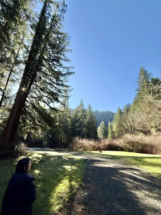Triangle Lake Campground 3