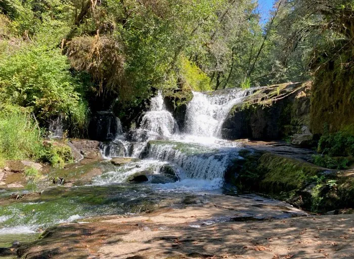 Alsea Falls Campground 1
