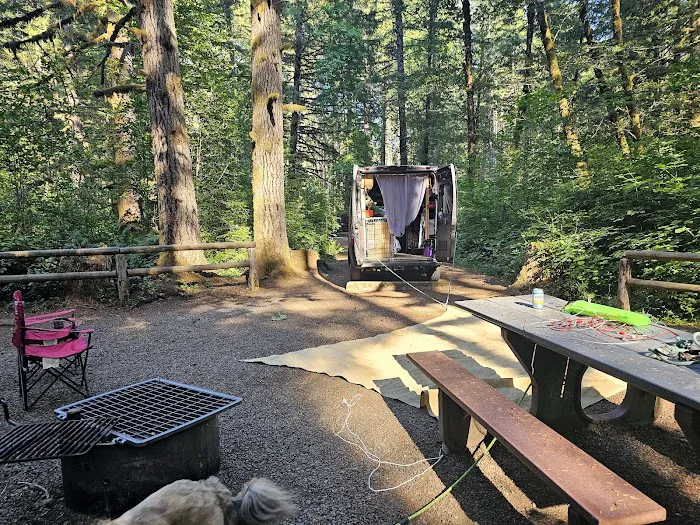 Alsea Falls Campground 2