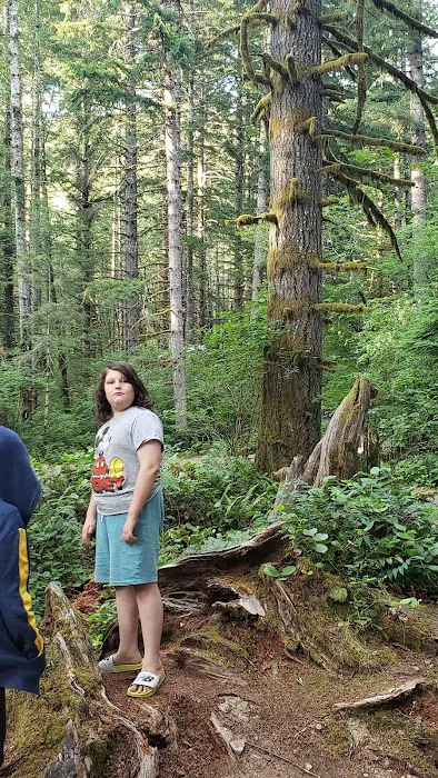 Alsea Falls Campground 4