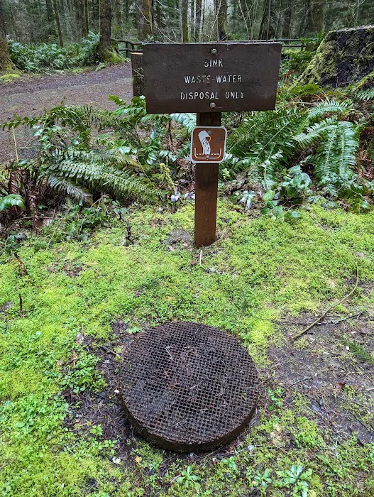 Alsea Falls Campground 5