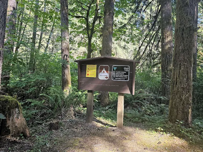 Alsea Falls Campground 8
