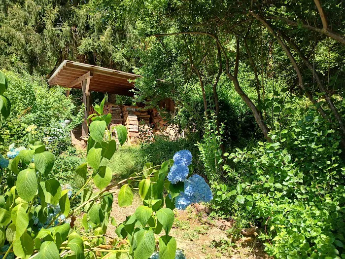 Tadpole Manor in Deadwood Camp 2