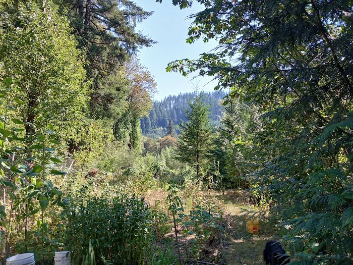 Tadpole Manor in Deadwood Camp 6