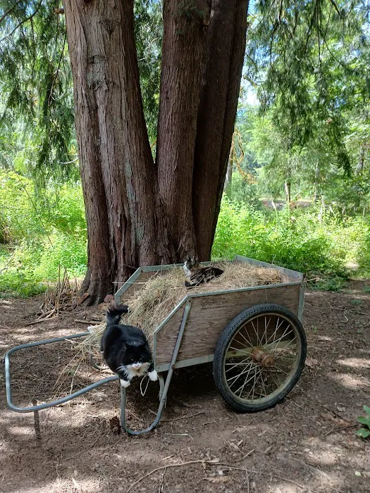 Tadpole Manor in Deadwood Camp 5