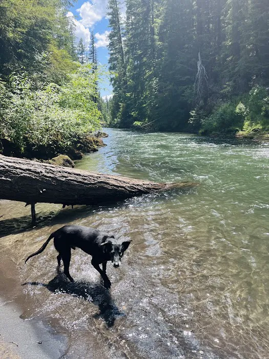 Farewell Bend Campground 6
