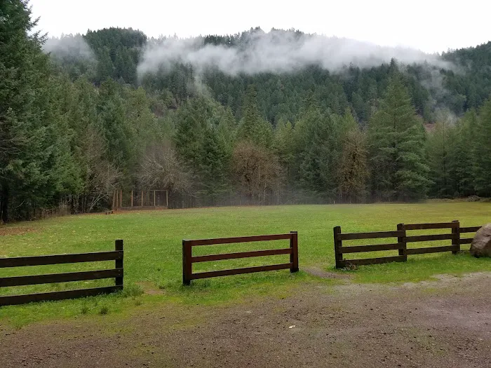 Steamboat Ball Field 0