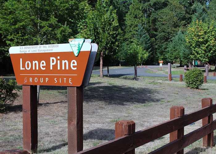 Lone Pine Group Campground (Reservation) 3