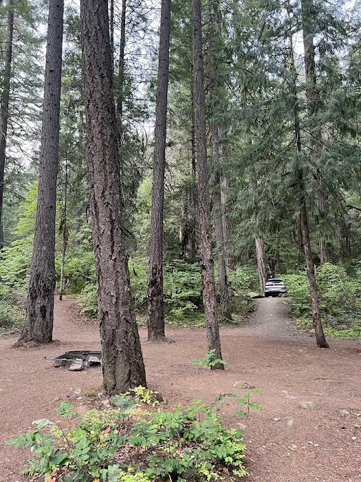Scaredman Recreation Site 8