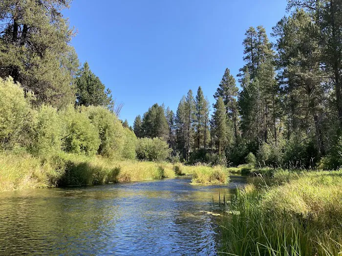 Williamson River Campground 1