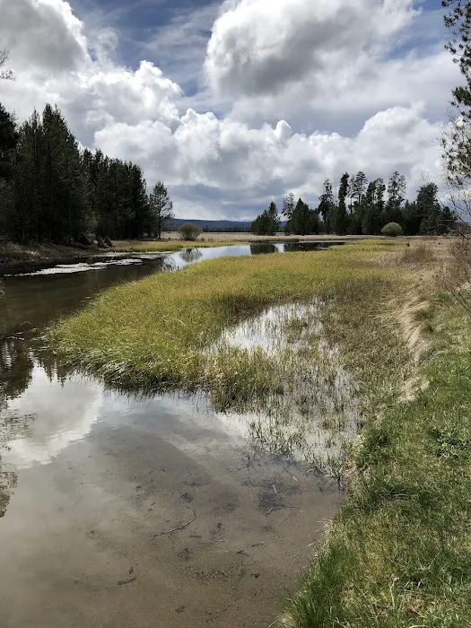 Williamson River Campground 3