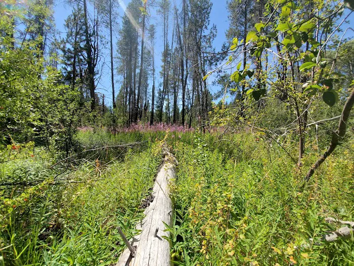 Williamson River Campground 8