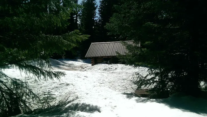 South Brown Mountain Shelter 6