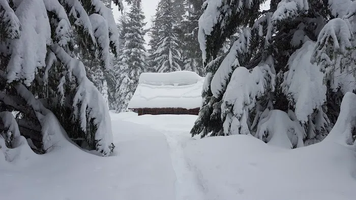 South Brown Mountain Shelter 5