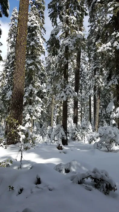 South Brown Mountain Shelter 8