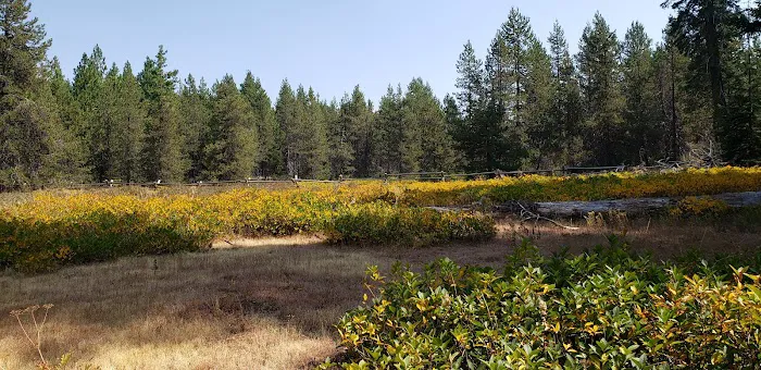Surveyor Recreation Site 5
