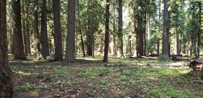 Surveyor Recreation Site 1
