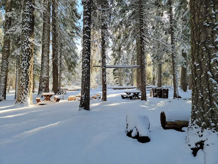Surveyor Recreation Site 4