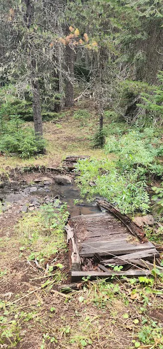 Daley Creek Campground 1