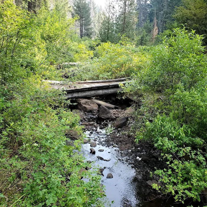 Daley Creek Campground 3
