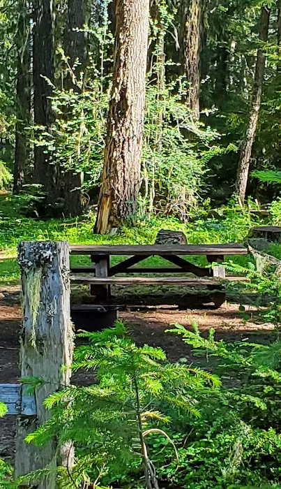 Daley Creek Campground 5