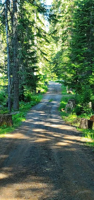 Daley Creek Campground 7