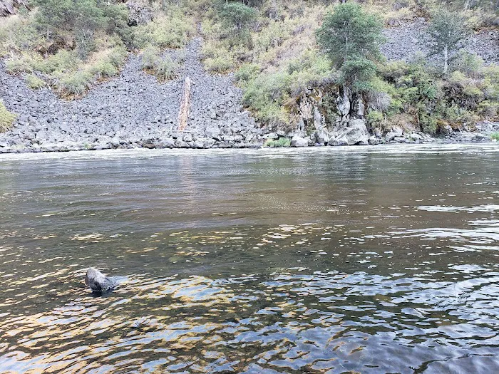 Upper Klamath Wild and Scenic River 1