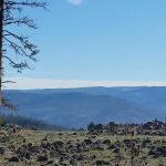 Salt Creek Gravel Pit